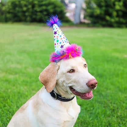 Huxley & Kent Pet Party Hat for Dogs & Cats - Fun Birthday Hat with SnugFit Adjustable Straps - Comfy Pet Costume Accessory for Parties, Gotcha Days & Celebrations - Superstar, Large