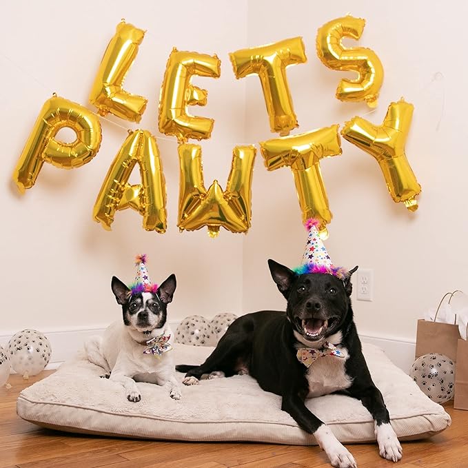 Huxley & Kent Pet Party Hat for Dogs & Cats - Fun Birthday Hat with SnugFit Adjustable Straps - Comfy Pet Costume Accessory for Parties, Gotcha Days & Celebrations - Superstar, Small