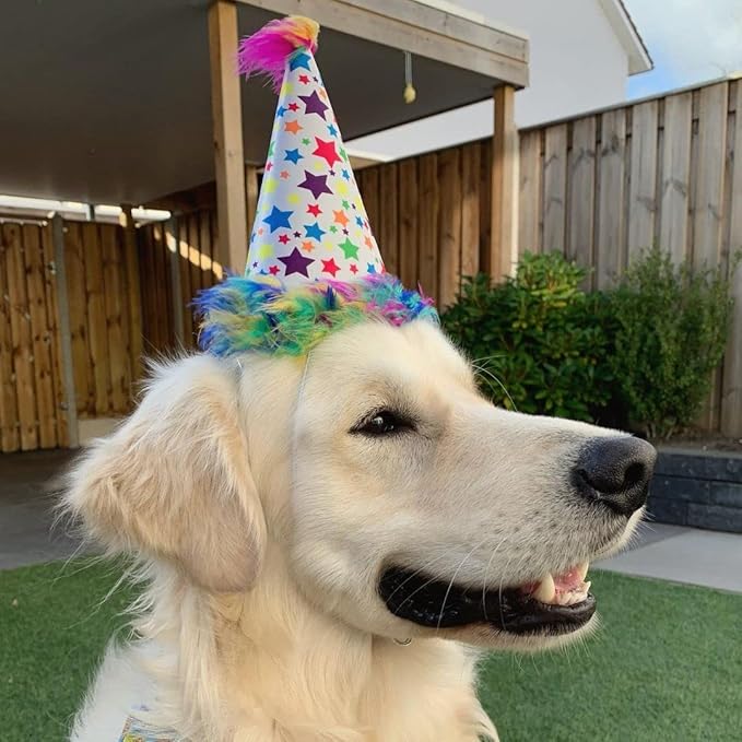 Huxley & Kent Pet Party Hat for Dogs & Cats - Fun Birthday Hat with SnugFit Adjustable Straps - Comfy Pet Costume Accessory for Parties, Gotcha Days & Celebrations - Superstar, Large