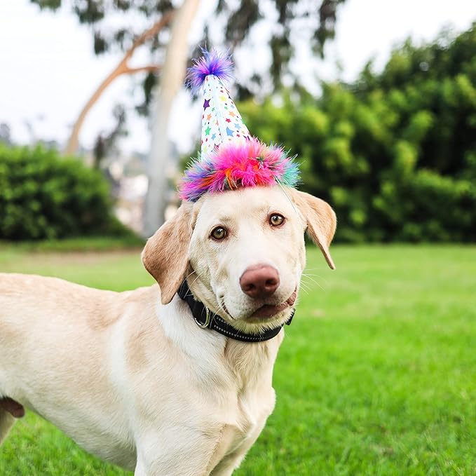 Huxley & Kent Pet Party Hat for Dogs & Cats - Fun Birthday Hat with SnugFit Adjustable Straps - Comfy Pet Costume Accessory for Parties, Gotcha Days & Celebrations - Superstar, Small