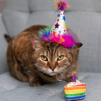 Huxley & Kent Pet Party Hat for Dogs & Cats - Fun Birthday Hat with SnugFit Adjustable Straps - Comfy Pet Costume Accessory for Parties, Gotcha Days & Celebrations - Superstar, Large