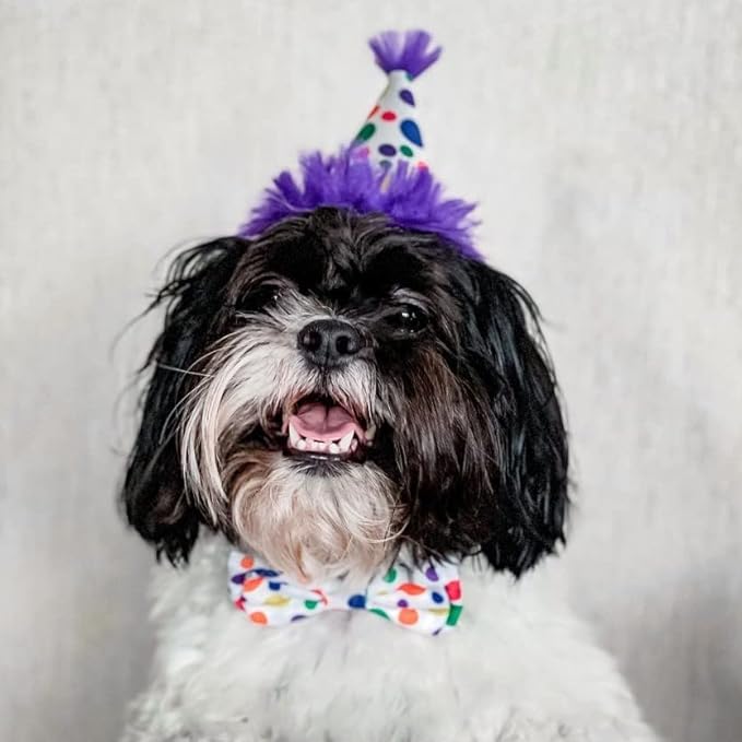 Huxley & Kent Pet Party Hat | Happy Barkday (Large) | Birthday Hat for Dogs and Cats | Adjustable Strap for Comfort and Stability | Perfect for Birthday Party, Adoption Celebration Gotcha Day