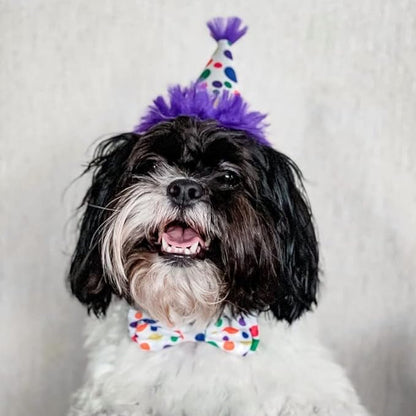 Huxley & Kent Pet Party Hat | Happy Barkday (Large) | Birthday Hat for Dogs and Cats | Adjustable Strap for Comfort and Stability | Perfect for Birthday Party, Adoption Celebration Gotcha Day