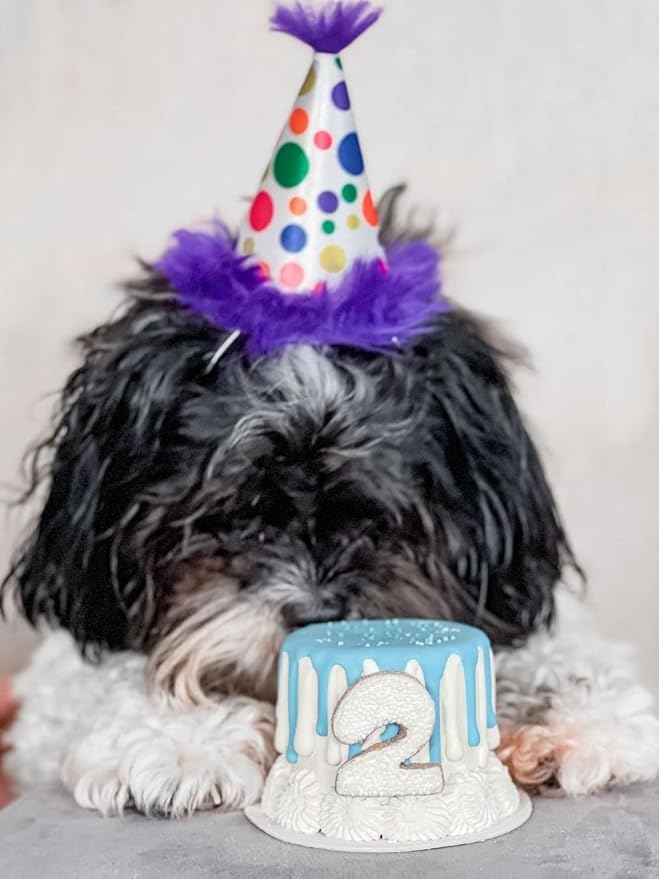Huxley & Kent Pet Party Hat | Happy Barkday (Large) | Birthday Hat for Dogs and Cats | Adjustable Strap for Comfort and Stability | Perfect for Birthday Party, Adoption Celebration Gotcha Day