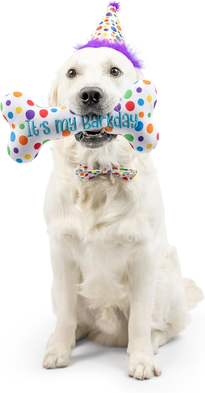 Huxley & Kent Pet Party Hat | Happy Barkday (Large) | Birthday Hat for Dogs and Cats | Adjustable Strap for Comfort and Stability | Perfect for Birthday Party, Adoption Celebration Gotcha Day