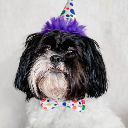 Huxley & Kent Pet Party Hat | Happy Barkday (Large) | Birthday Hat for Dogs and Cats | Adjustable Strap for Comfort and Stability | Perfect for Birthday Party, Adoption Celebration Gotcha Day