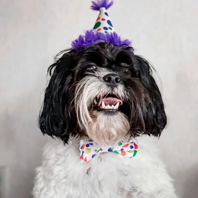 Huxley & Kent Pet Party Hat | Happy Barkday (Large) | Birthday Hat for Dogs and Cats | Adjustable Strap for Comfort and Stability | Perfect for Birthday Party, Adoption Celebration Gotcha Day