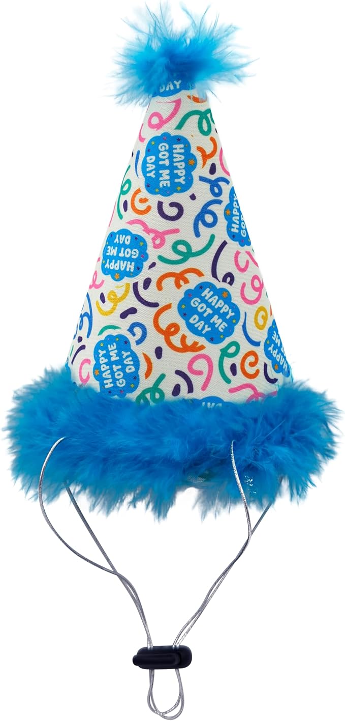 Huxley & Kent Pet Party Hat w/SnugFit Tech - Cute Glitter Doggie Birthday Party Hat- Cat & Dog Birthday Hat - Dog Hats for Parties, Adoption or Gotcha Day (Happy Got Me Day, Small)
