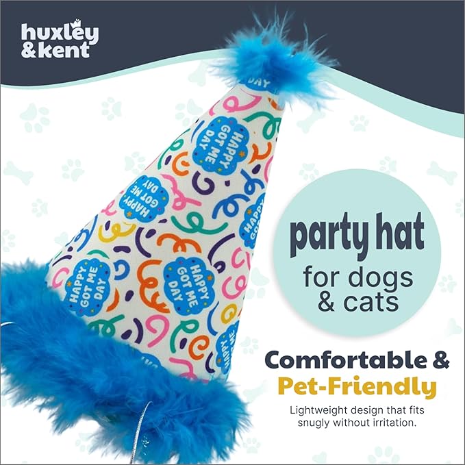 Huxley & Kent Pet Party Hat w/SnugFit Tech - Cute Glitter Doggie Birthday Party Hat- Cat & Dog Birthday Hat - Dog Hats for Parties, Adoption or Gotcha Day (Happy Got Me Day, Small)