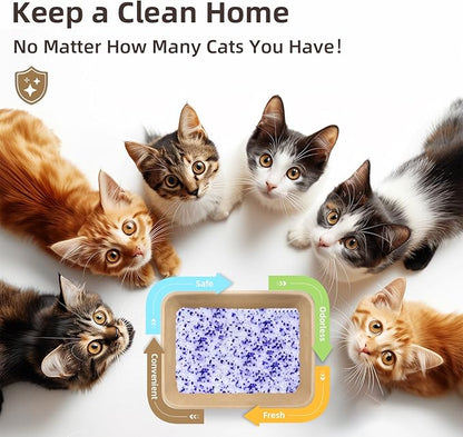 LaSyL Crystal Cat Litter for Multi-Cat Households - 34.4 lb Silica Gel, 30-Day Odor Control, 99.9% Dust-Free Non-Clumping Low Tracking Lightweight Unscented Formula (8 Bags x 4.3lb)
