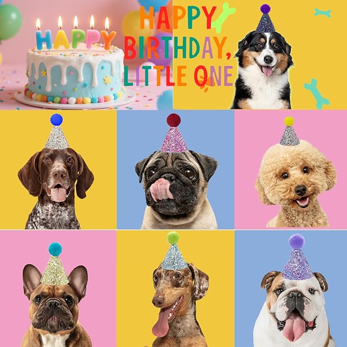 Mini Party Hats for Stuffed Animals, Birthday Party Cone Hats Dolls Dog Cat Rabbit Puppies Assorted Animal Birthday