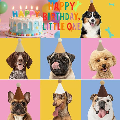 Mini Party Hats for Stuffed Animals, Birthday Party Cone Hats Dolls Dog Cat Rabbit Puppies Assorted Animal Birthday