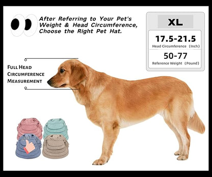 Pet Baseball Cap with Ear Holes - Multi-Color Sun Visor Hat for Dogs & Cats, Summer & Fall Beach Headwear for Puppies & Kittens (Blue, XL)