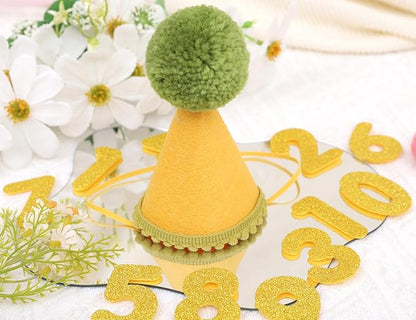 Pet Birthday Hat with Interchangeable Numbers 1-10 | Adjustable Pet Party Cone Hat for Dogs & Cats | Puppy Birthday Photo Props for 1st to 10th Birthday Celebrations (Yellow Green Birthday Pet Hat)