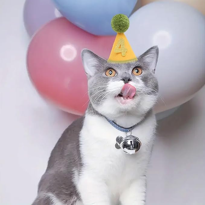 Pet Birthday Hat with Interchangeable Numbers 1-10 | Adjustable Pet Party Cone Hat for Dogs & Cats | Puppy Birthday Photo Props for 1st to 10th Birthday Celebrations (Yellow Green Birthday Pet Hat)