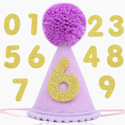 Pet Birthday Hat with Interchangeable Numbers 1-10 | Adjustable Pet Party Cone Hat for Dogs & Cats | Puppy Birthday Photo Props for 1st to 10th Birthday Celebrations (Purple Birthday Pet Hat)