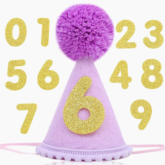 Pet Birthday Hat with Interchangeable Numbers 1-10 | Adjustable Pet Party Cone Hat for Dogs & Cats | Puppy Birthday Photo Props for 1st to 10th Birthday Celebrations (Purple Birthday Pet Hat)