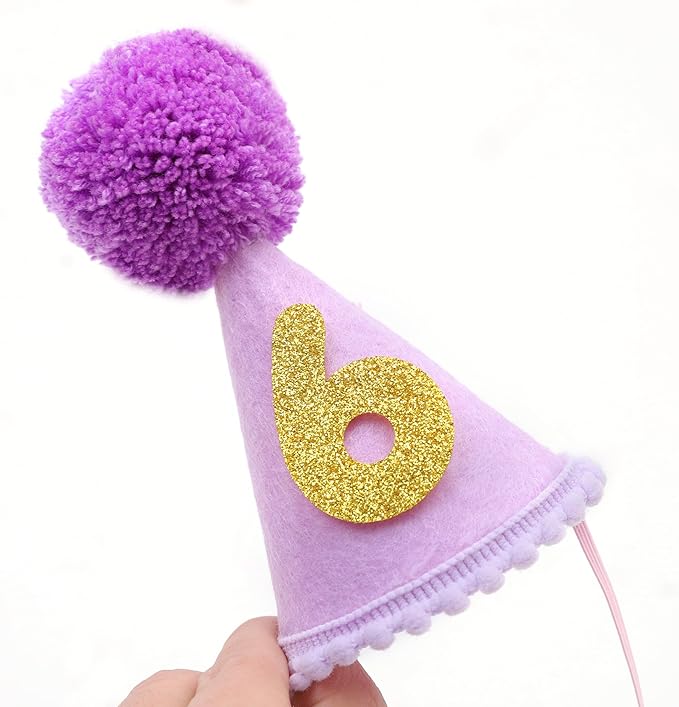 Pet Birthday Hat with Interchangeable Numbers 1-10 | Adjustable Pet Party Cone Hat for Dogs & Cats | Puppy Birthday Photo Props for 1st to 10th Birthday Celebrations (Purple Birthday Pet Hat)