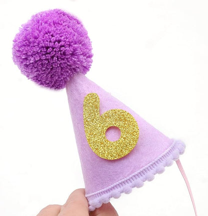 Pet Birthday Hat with Interchangeable Numbers 1-10 | Adjustable Pet Party Cone Hat for Dogs & Cats | Puppy Birthday Photo Props for 1st to 10th Birthday Celebrations (Purple Birthday Pet Hat)