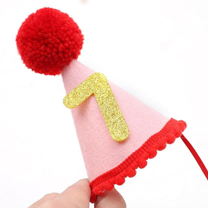 Pet Birthday Hat with Interchangeable Numbers 1-10 | Adjustable Pet Party Cone Hat for Dogs & Cats | Puppy Birthday Photo Props for 1st to 10th Birthday Celebrations (Red Pink Birtgday Pet Hat)