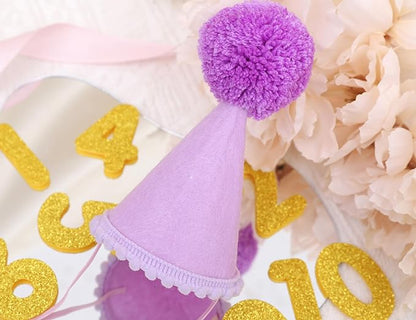 Pet Birthday Hat with Interchangeable Numbers 1-10 | Adjustable Pet Party Cone Hat for Dogs & Cats | Puppy Birthday Photo Props for 1st to 10th Birthday Celebrations (Purple Birthday Pet Hat)