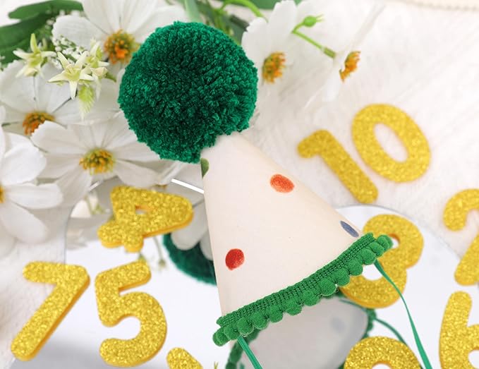 Pet Birthday Hat with Interchangeable Numbers 1-10 | Adjustable Pet Party Cone Hat for Dogs & Cats | Puppy Birthday Photo Props for 1st to 10th Birthday Celebrations (Beige Birtgday Pet Hat)