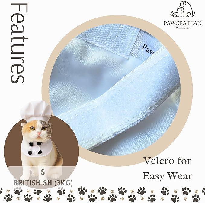 Pet Custom Dog Custom Cat Custom Hoodie, Sporty Look, Funny Gift, Halloween Holiday (Chef, Large)
