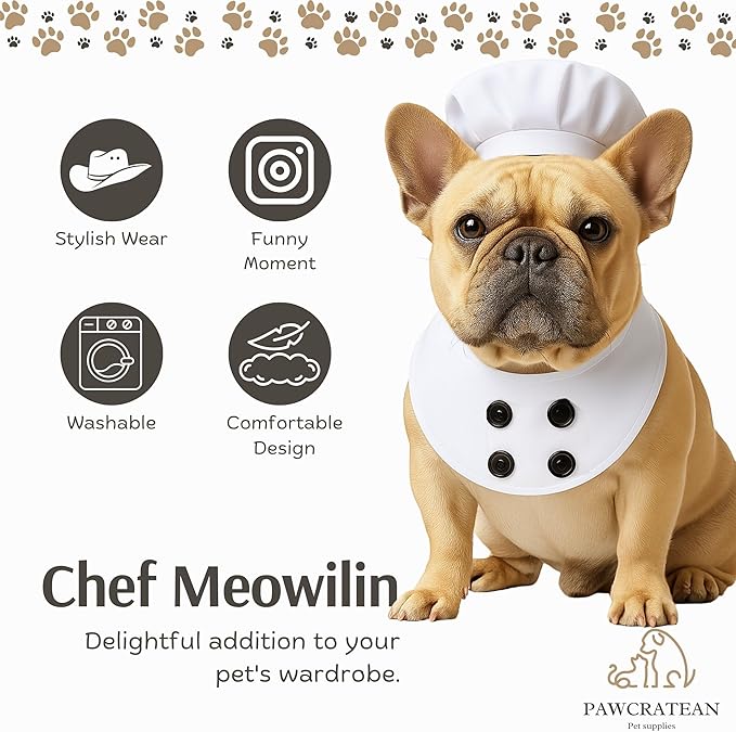 Pet Custom Dog Custom Cat Custom Hoodie, Sporty Look, Funny Gift, Halloween Holiday (Chef, Large)