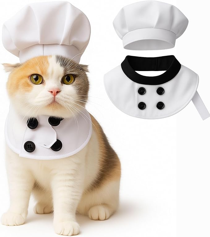 Pet Custom Dog Custom Cat Custom Hoodie, Sporty Look, Funny Gift, Halloween Holiday (Chef, Large)