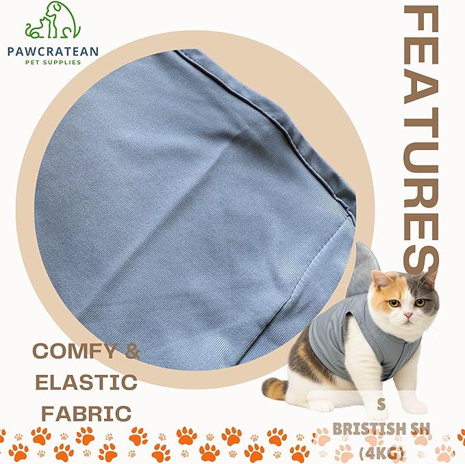 Pet Custom Dog Custom Cat Custom Hoodie, Sporty Look, Funny Gift, Halloween Holiday (Shark with Standing Fin, Small)