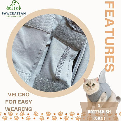 Pet Custom Dog Custom Cat Custom Hoodie, Sporty Look, Funny Gift, Halloween Holiday (Shark with Standing Fin, Small)