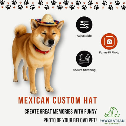 Pet Custom Dog Custom Cat Custom Hoodie, Sporty Look, Funny Gift, Halloween Holiday (Sombrero Hat, One Size)