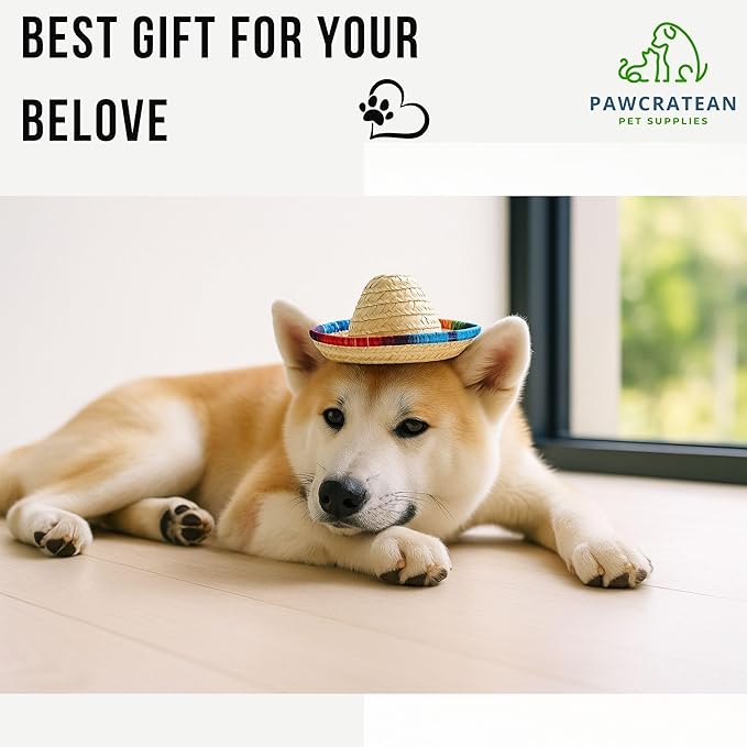 Pet Custom Dog Custom Cat Custom Hoodie, Sporty Look, Funny Gift, Halloween Holiday (Sombrero Hat, One Size)