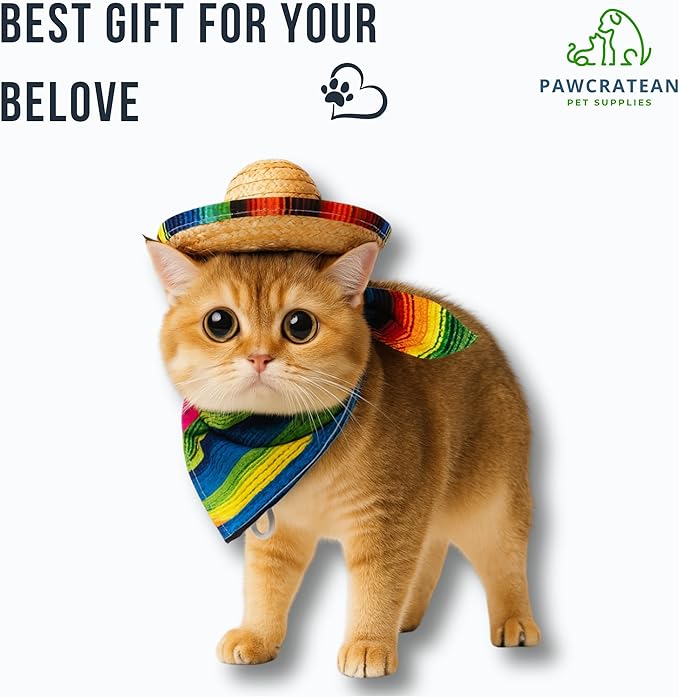 Pet Custom Dog Custom Cat Custom Hoodie, Sporty Look, Funny Gift, Halloween Holiday (Sombrero Set, One Size)