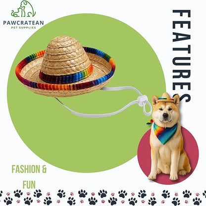 Pet Custom Dog Custom Cat Custom Hoodie, Sporty Look, Funny Gift, Halloween Holiday (Sombrero Set, One Size)