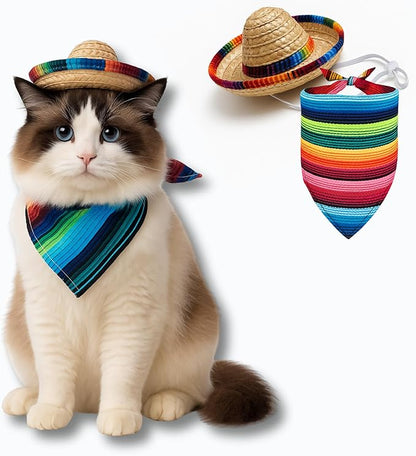 Pet Custom Dog Custom Cat Custom Hoodie, Sporty Look, Funny Gift, Halloween Holiday (Sombrero Set, One Size)