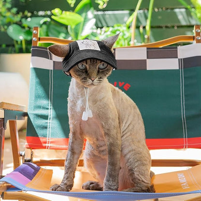 Pet Dog Baseball Cap, Cat Hat, Cat Dog Sun Cap with Ear Holes, Adjustable Puppy Outdoor Sun Hat (Black, X-Large)