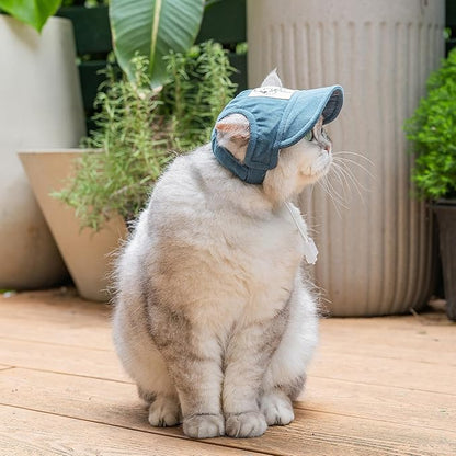 Pet Dog Baseball Cap, Cat Hat, Cat Dog Sun Cap with Ear Holes, Adjustable Puppy Outdoor Sun Hat (Blue, Small)