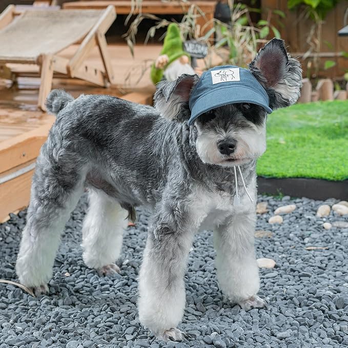 Pet Dog Baseball Cap, Cat Hat, Cat Dog Sun Cap with Ear Holes, Adjustable Puppy Outdoor Sun Hat (Blue, Small)