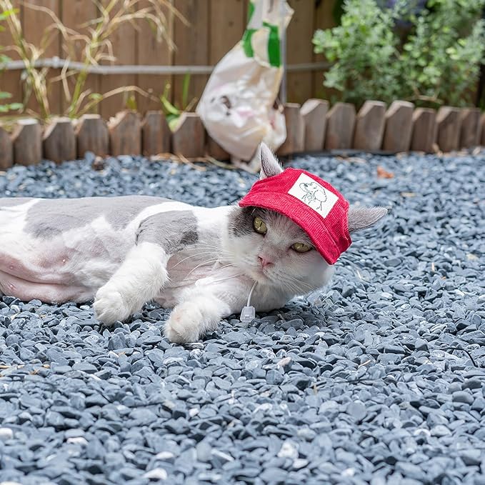 Pet Dog Baseball Cap, Cat Hat, Cat Dog Sun Cap with Ear Holes, Adjustable Puppy Outdoor Sun Hat (Red, Medium)