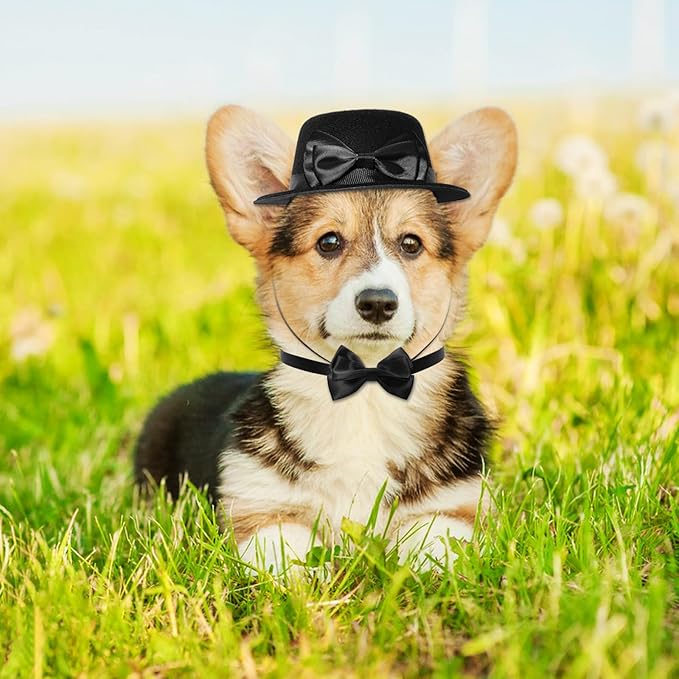 Pet Formal Accessories Set 2 Pcs Dog Costume Top Hat with Formal Pet Tuxedo Bowtie/Necktie Birthday Party Halloween Gradation Christmas Dog Cat Costumes Accessories Black (Top hat Height: 5cm)