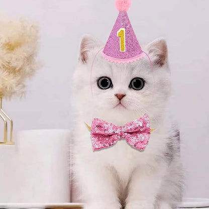 PET SHOW 4Pcs Pink Dog Birthday Hat with 11 (0-9) Numbers Happy Birthday Bandana Dogs Bowties Tutu Dress Set for Small Dogs Cats Puppy Party Wedding Supplies