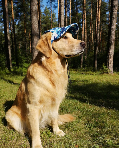 PET SHOW Dog Baseball Cap Camouflage Dog Visors for Medium Small Dogs Summer Waterproof Pet Sun Hats with Ear Holes Adjustable Drawstring Boy Puppy Hat -Blue/L