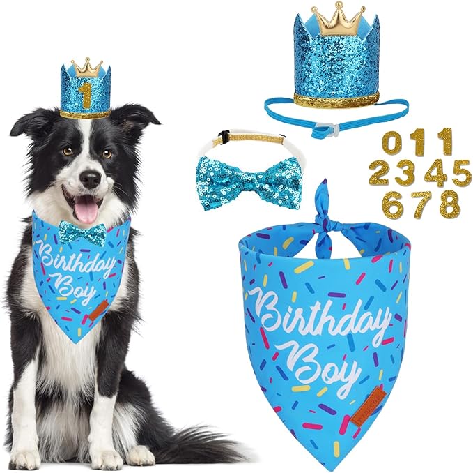 PTDECOR Dog Birthday Party Supplies, Multi Size Birthday Boy Bandana, Blue Crowns Dog Hat Set for Medium Large Pets (Large)