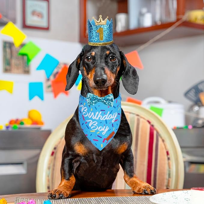 PTDECOR Dog Birthday Party Supplies, Multi Size Birthday Boy Bandana, Blue Crowns Dog Hat Set for Small Pets (Small)