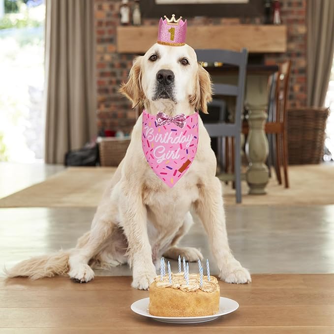 PTDECOR Dog Birthday Party Supplies, Multi Size Birthday Girl Bandana, Pink Crowns Hat Set for Medium Large Pets (Large)