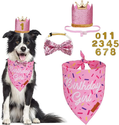PTDECOR Dog Birthday Party Supplies, Multi Size Birthday Girl Bandana, Pink Crowns Hat Set for Medium Large Pets (Large)
