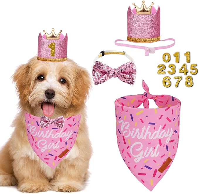 PTDECOR Dog Birthday Party Supplies, Multi Size Birthday Girl Bandana, Pink Crowns Hat Set for Small Pets (Small)
