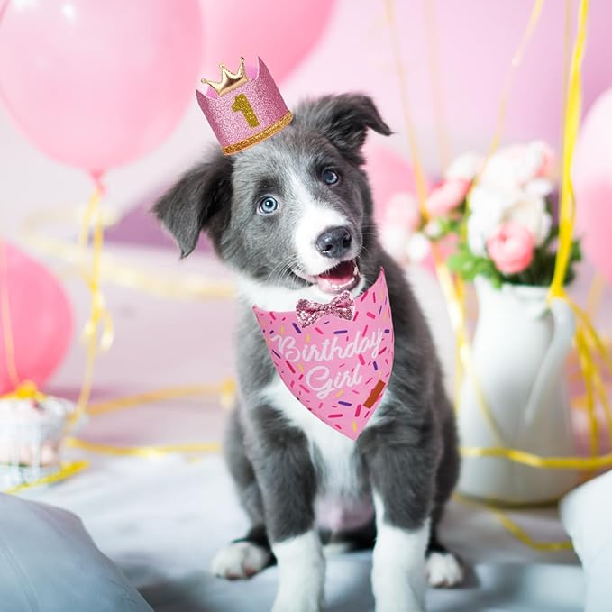 PTDECOR Dog Birthday Party Supplies, Multi Size Birthday Girl Bandana, Pink Crowns Hat Set for Small Pets (Small)