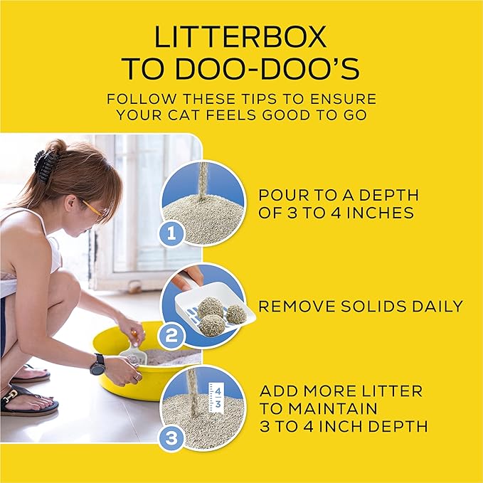 Purina Tidy Cats Lightweight, Low Dust, Clumping Cat Litter Odor Control 24/7 Performance Multi Cat Litter 12 lbs.